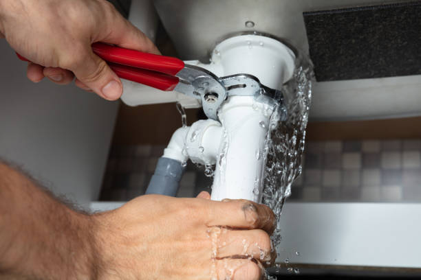 Best Professional water damage repair  in Decatur, TN