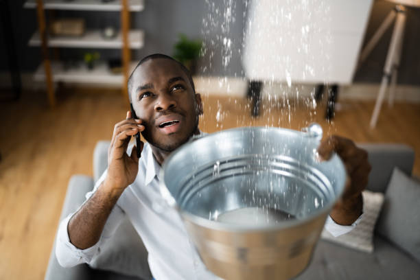 Best Water damage restoration experts  in Decatur, TN