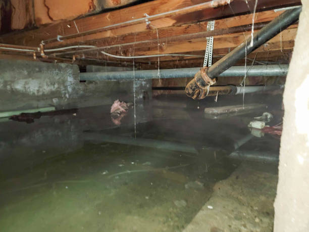 Best Flood restoration services  in Decatur, TN