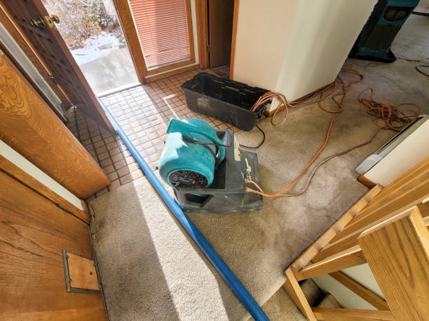 Trusted Decatur, TN Water damage restoration Experts