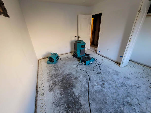 Best Water damage cleanup near me  in Decatur, TN