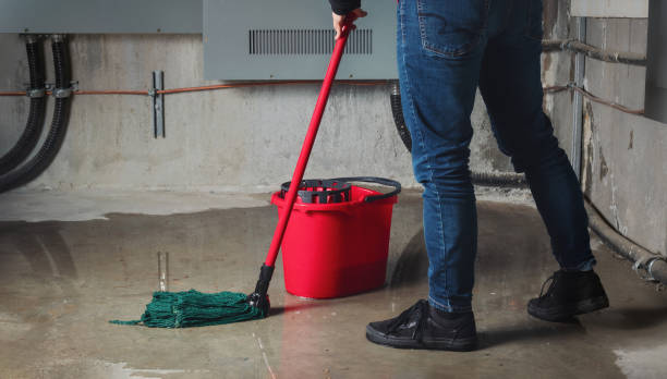 Best Flooded house restoration  in Decatur, TN