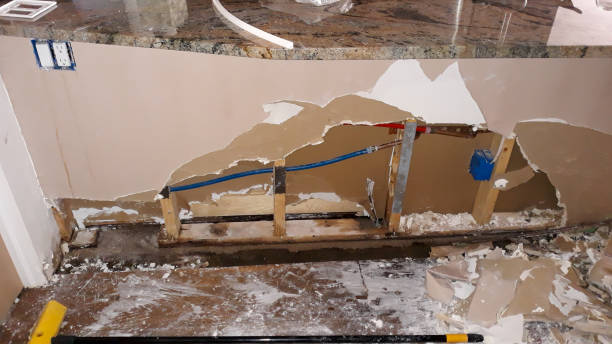 Best Water damage restoration process  in Decatur, TN