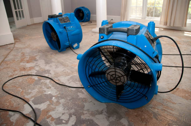 Carpet water damage restoration in Decatur, TN