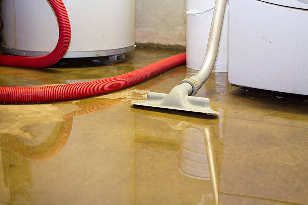 Sewage cleanup and water damage restoration in Decatur, TN