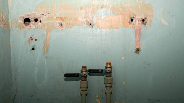 Best Local water damage restoration  in Decatur, TN