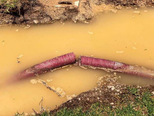 Best Residential water damage restoration  in Decatur, TN
